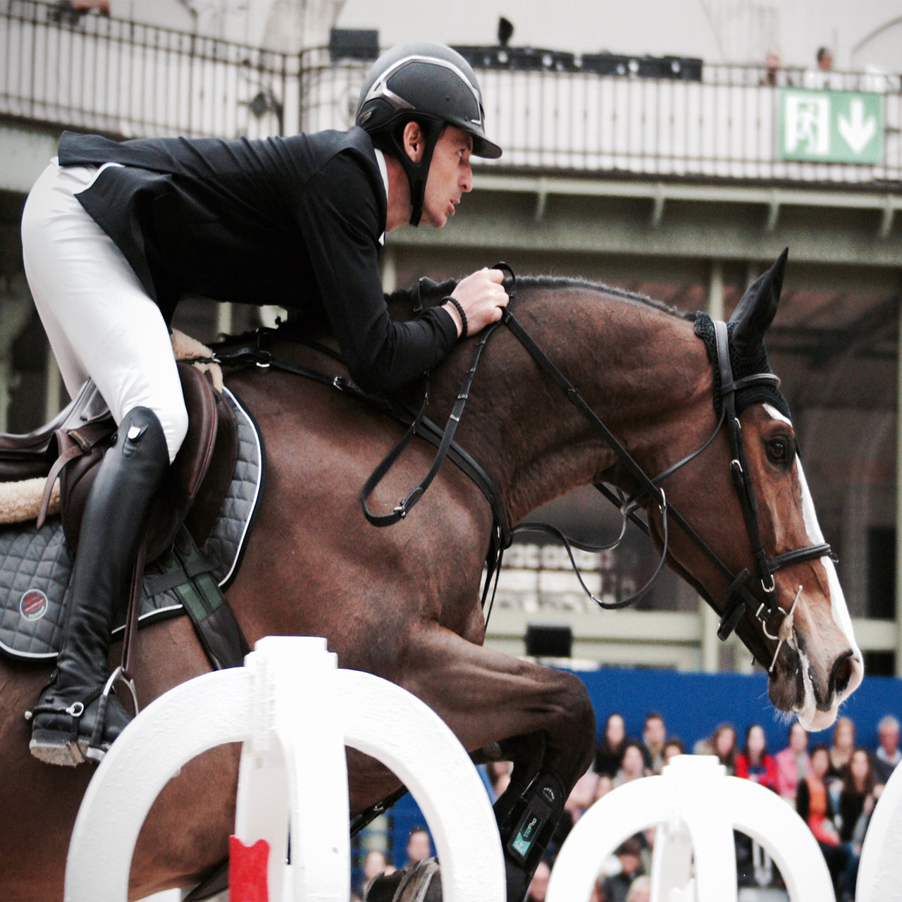 Accesorios para equitación