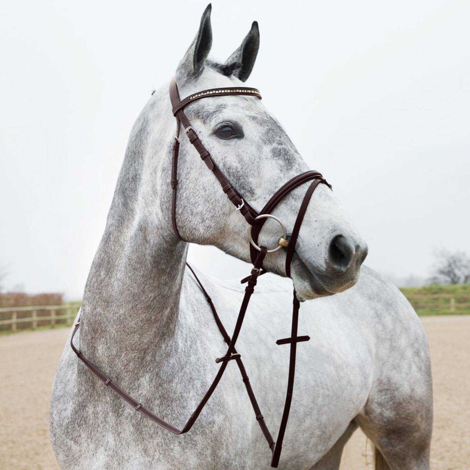 BRIDA #10017 PARA EQUITACION CAFE DE PIEL T-COB