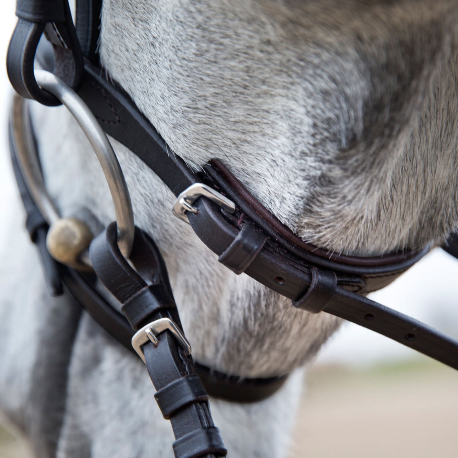 BRIDA #10017 PARA EQUITACION CAFE DE PIEL T-COB