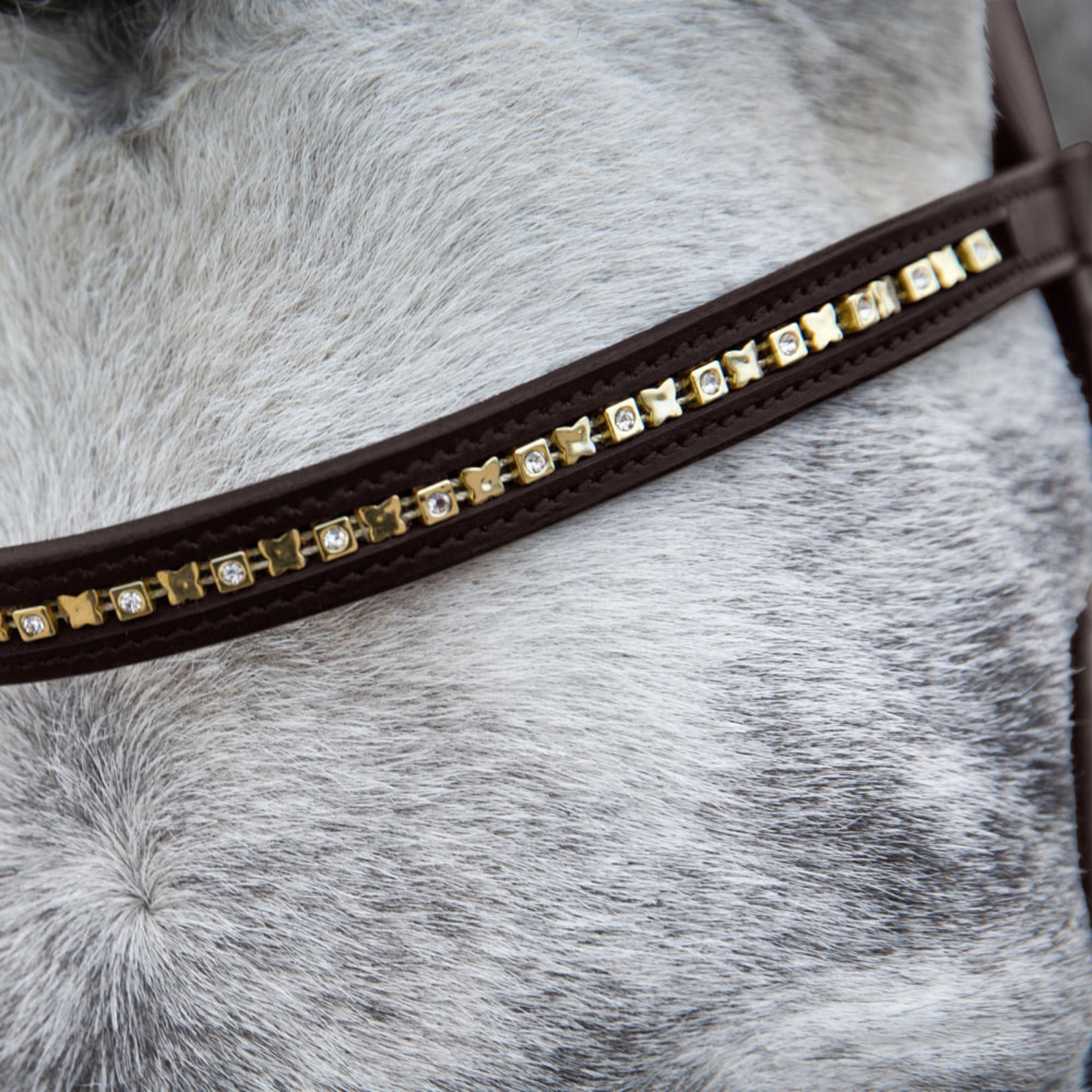 BRIDA #10017 PARA EQUITACION CAFE DE PIEL T-COB