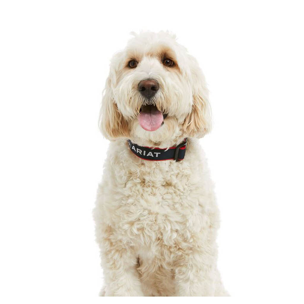 COLLAR P/PERRO #36573 ARIAT