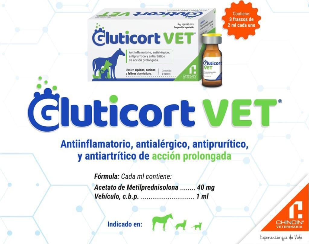 GLUTICORT VET SUSPENSION INY 2 ml