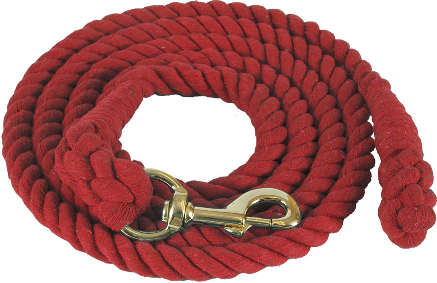 GUIA PASEADOR #6010 A ROJO 3/4" X10"