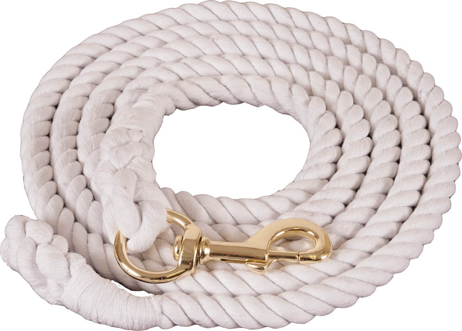 GUIA PASEADOR #6010 T BLANCO 3/4" X10"