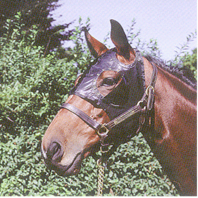 BLINKERS #110 C/ROMBOS COPA FRANCESA COMBINADO