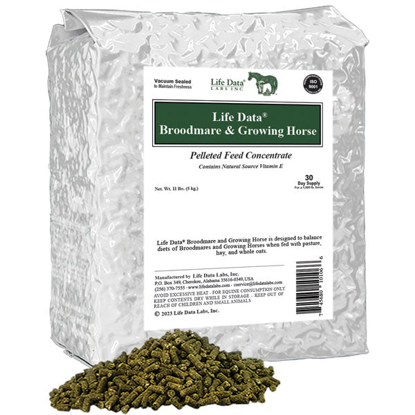 BARN BANG BROODMARE AND GROWING HORSE FEED CONCENTRATE 11 LB