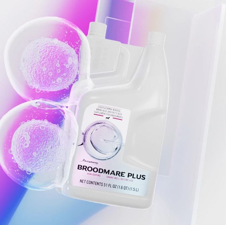 BROODMARE PLUS 1.5 LT
