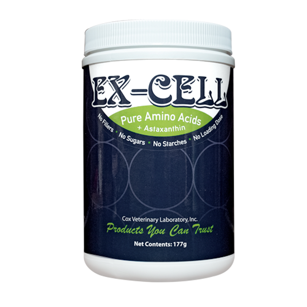 EX-CELL 177 gr