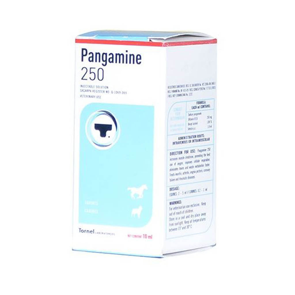 PANGAMINE 250 10 ML
