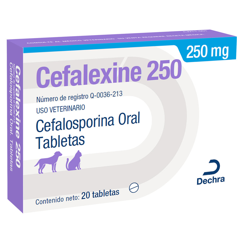 CEFALExINE 250 MG 20 TAB