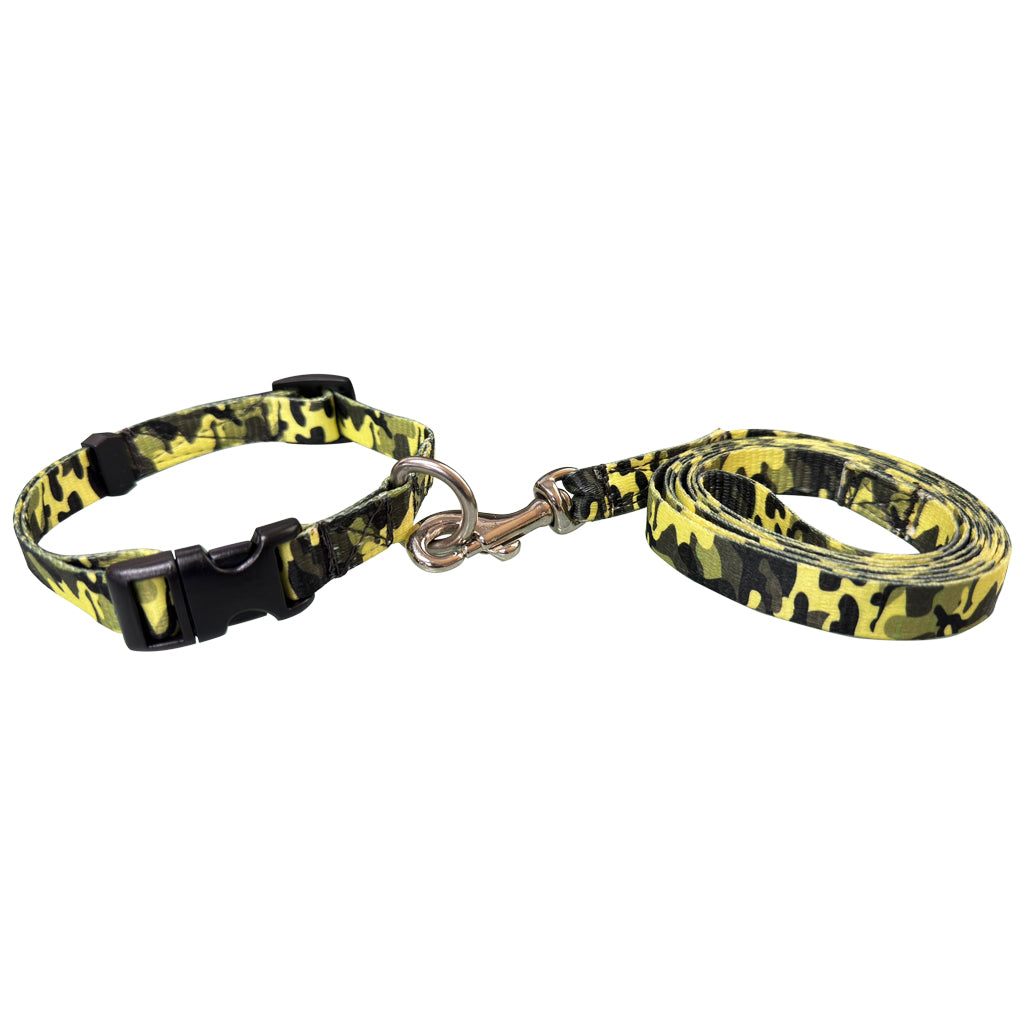 COLLAR CON CORREA #702 PARA PERRO CH 5/8" GRAFICOS