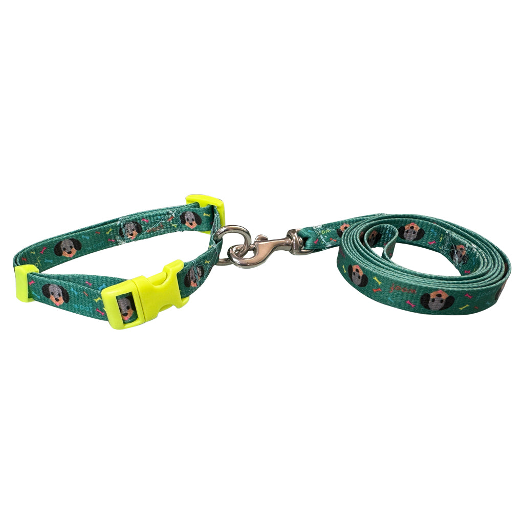 COLLAR CON CORREA #702 PARA PERRO CH 5/8" GRAFICOS