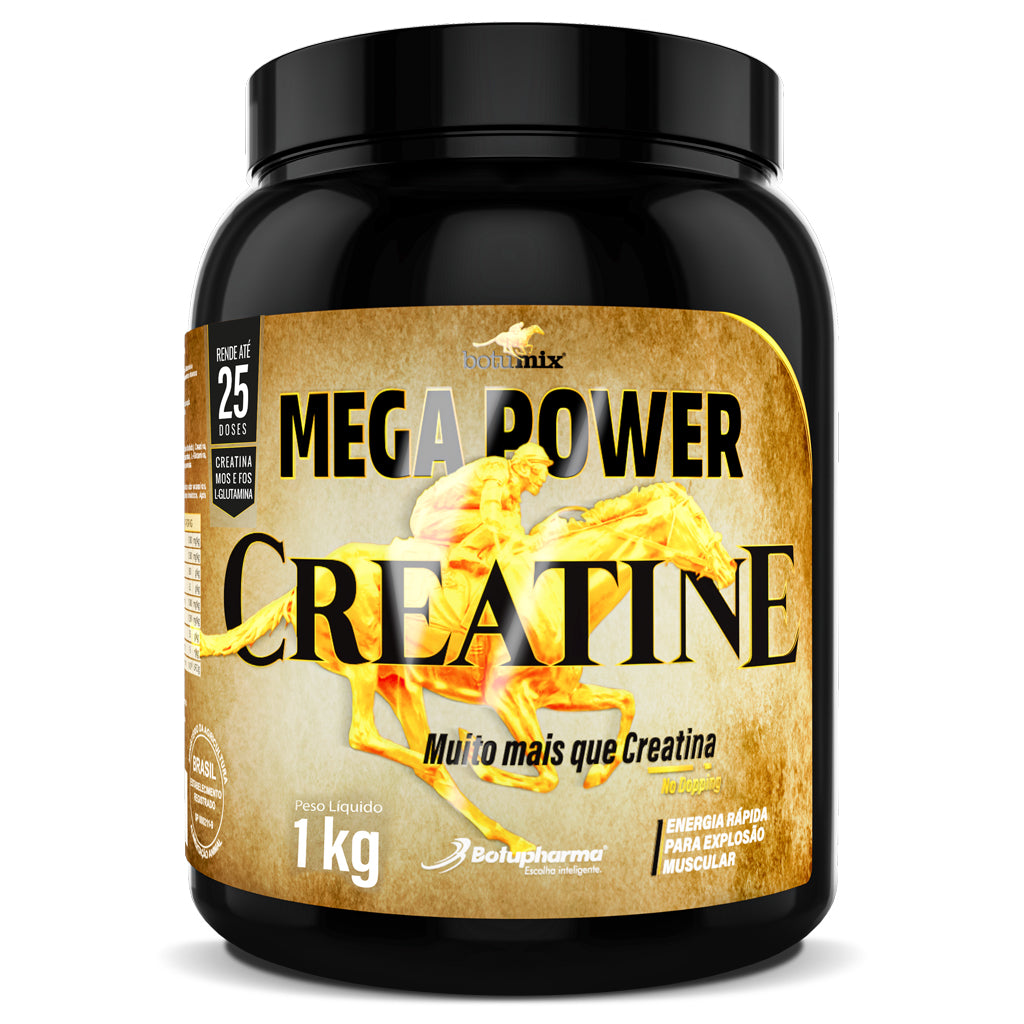 MEGA POWER CREATINE 1 kg