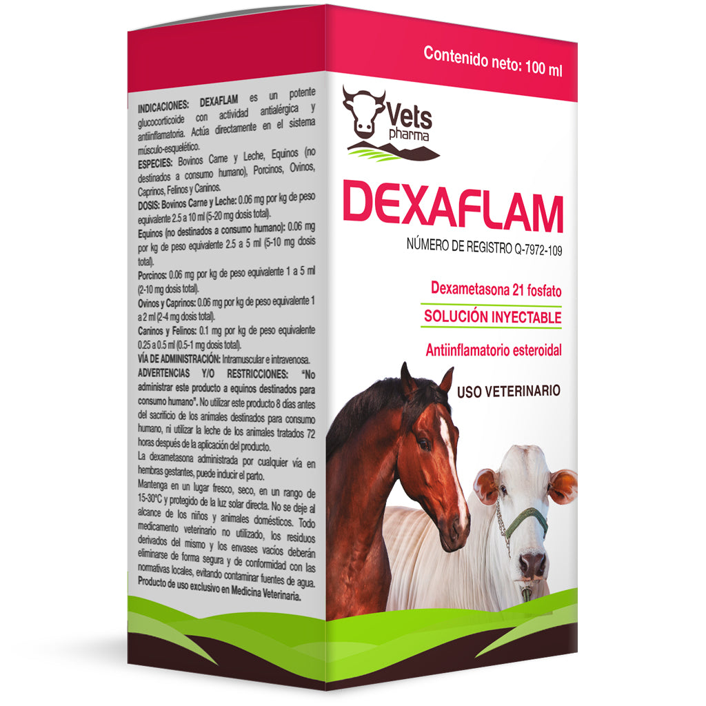 DEXAFLAM 100ML