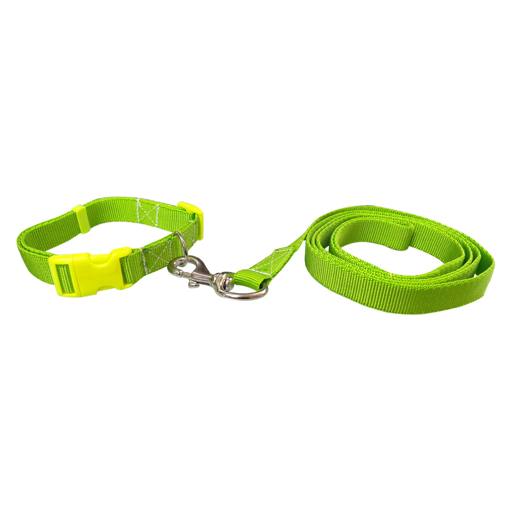 COLLAR CON CORREA #701 PARA PERRO GD 1" POLY