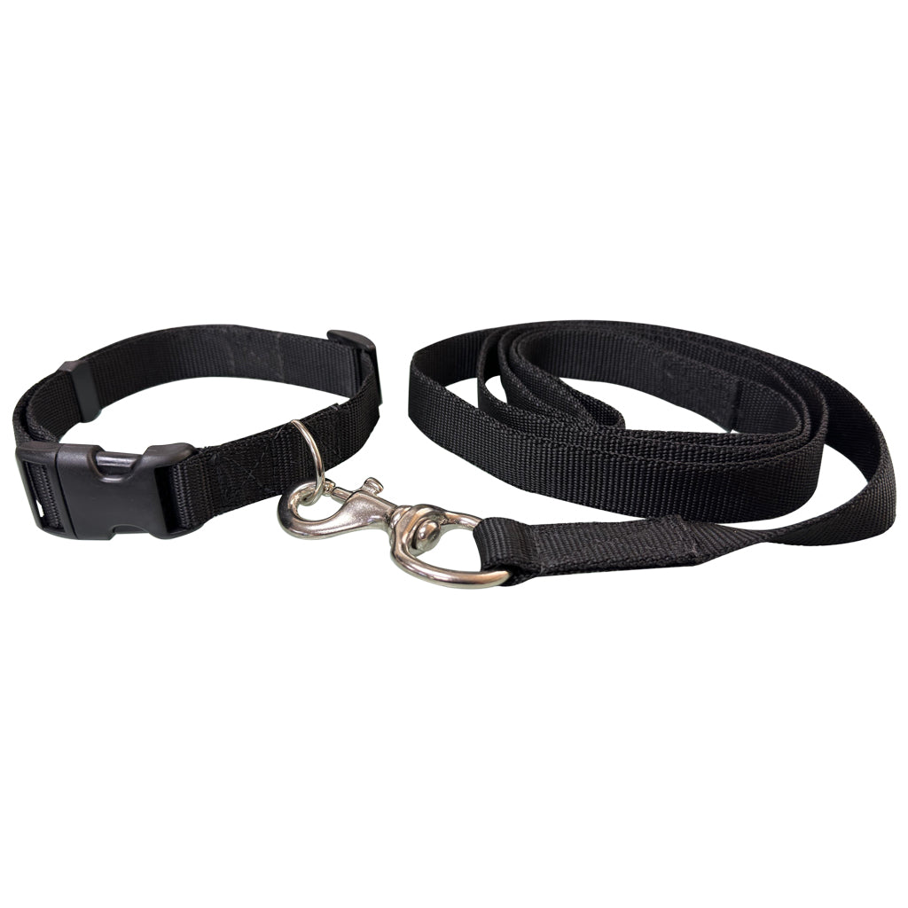 COLLAR CON CORREA #701 PARA PERRO GD 1" POLY