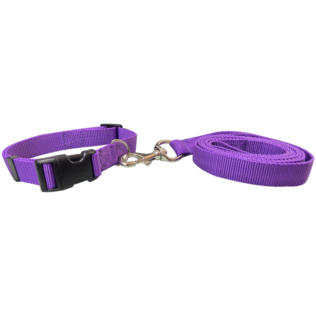 COLLAR CON CORREA #701 PARA PERRO GD 1" POLY