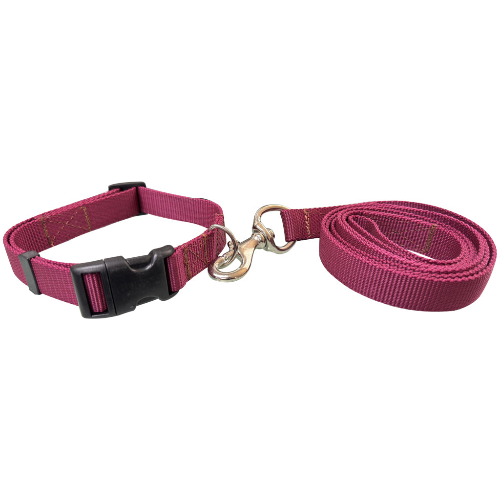 COLLAR CON CORREA #701 PARA PERRO GD 1" POLY