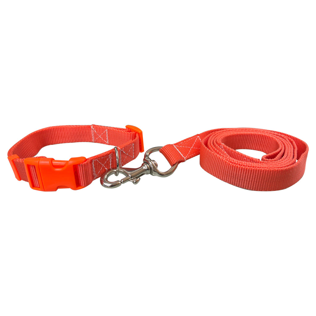 COLLAR CON CORREA #701 PARA PERRO GD 1" POLY