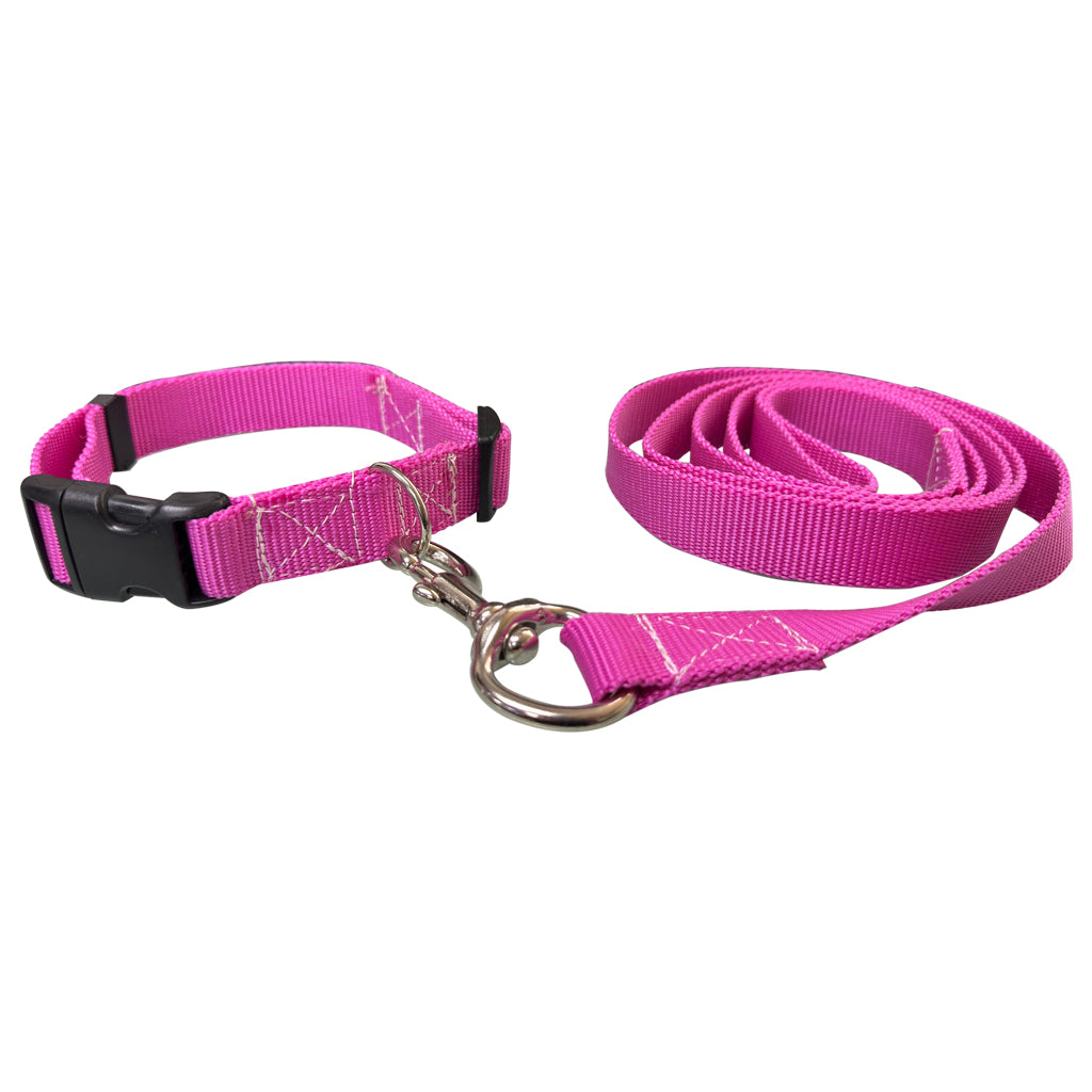 COLLAR CON CORREA #701 PARA PERRO GD 1" POLY