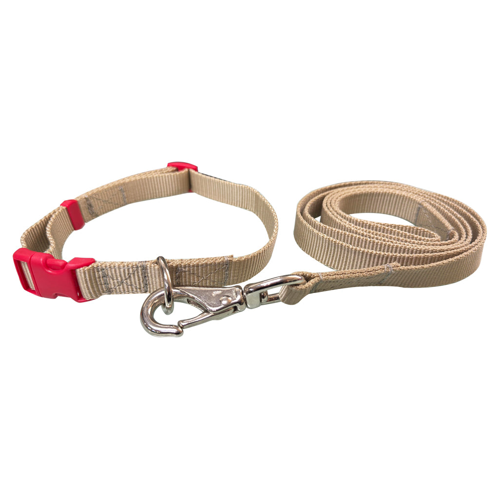 COLLAR CON CORREA #701 PARA PERRO MD 3/4" POLY