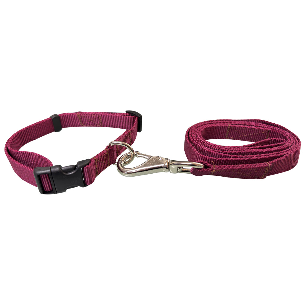 COLLAR CON CORREA #701 PARA PERRO MD 3/4" POLY