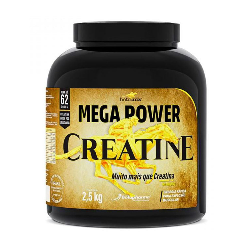 MEGA POWER CREATINE 2.5 KG