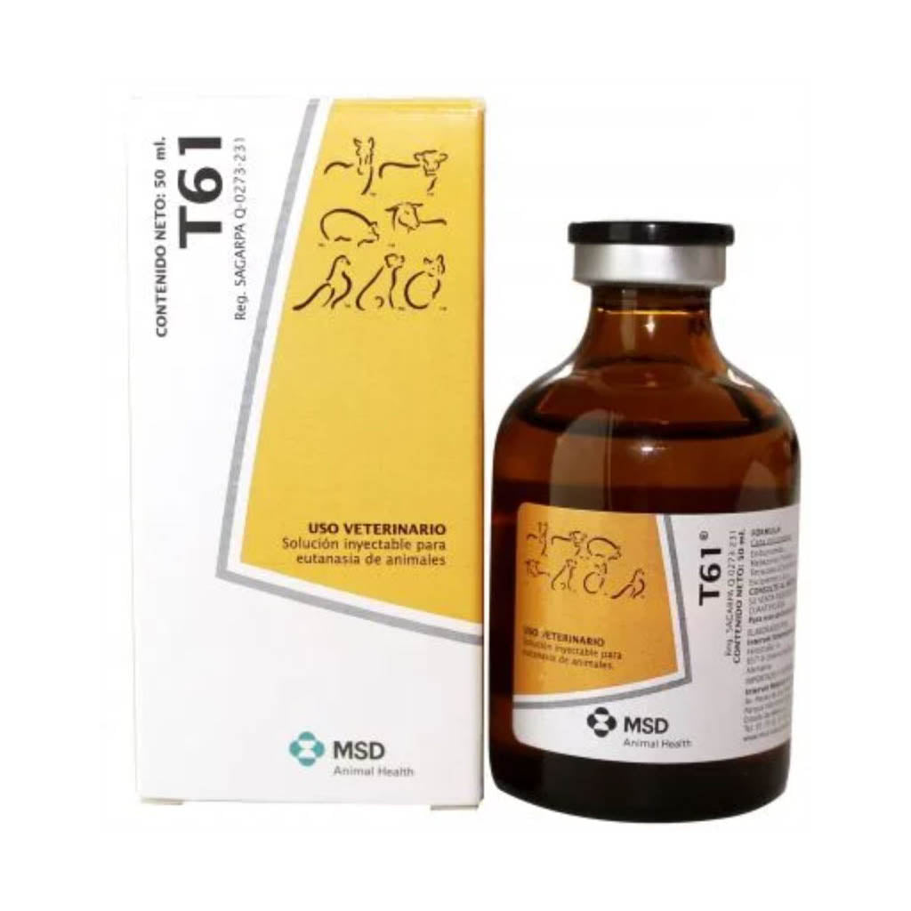 T61 1x50ml 370