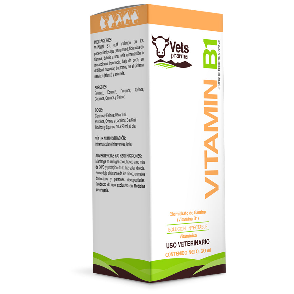 VITAMINA B1 50 ML