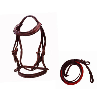 BRIDA #140 DE PIEL C/HULE P/ EQUITACION