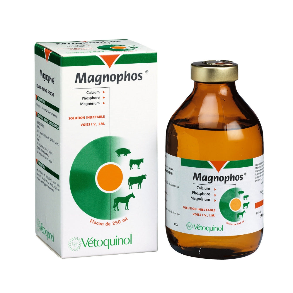 MAGNOPHOS SOL. INY 250 ML