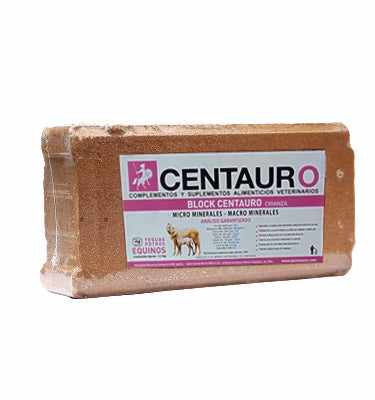 PIEDRA DE MINERAL CENTAURO DE CRIANZA