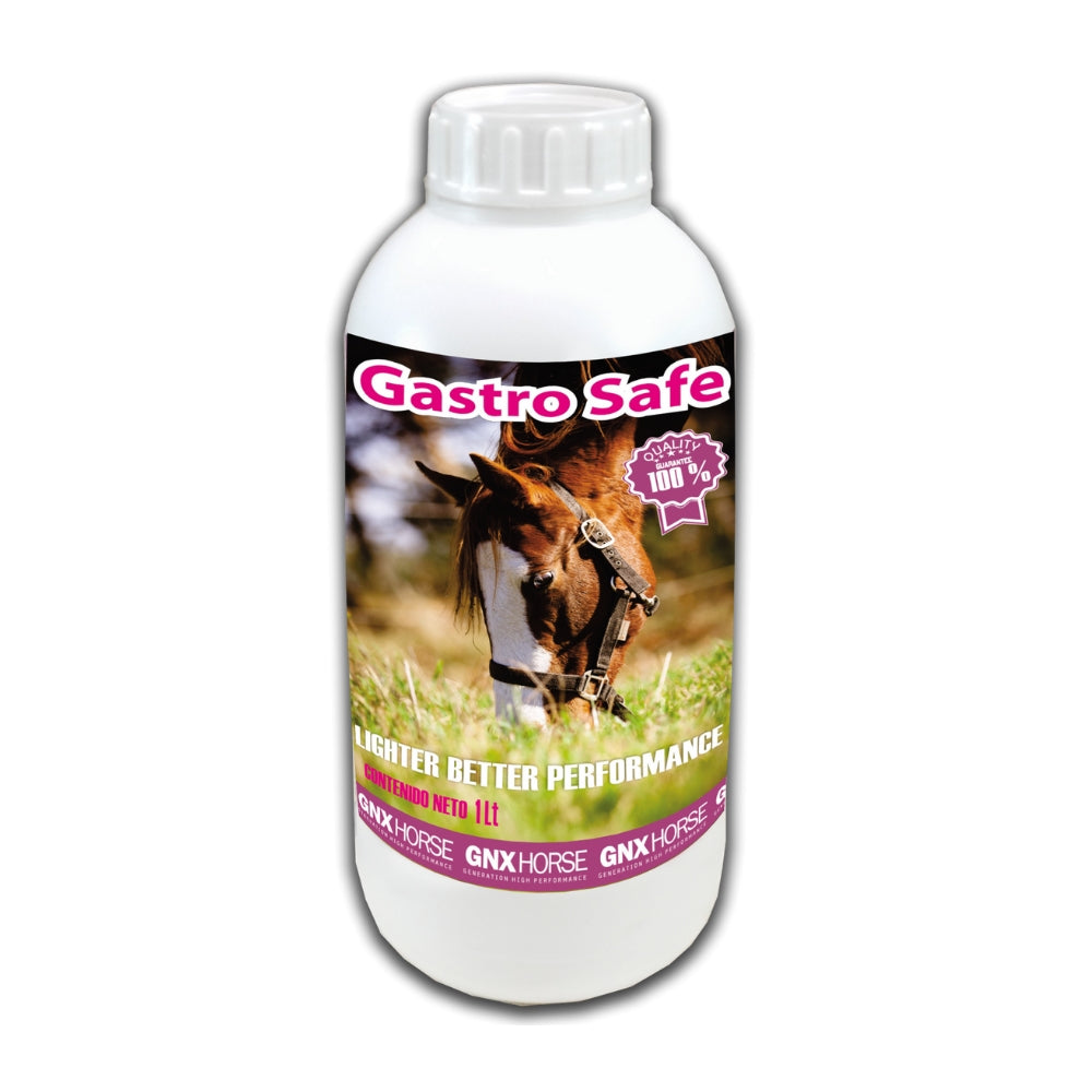 GASTRO SAFE 1LT