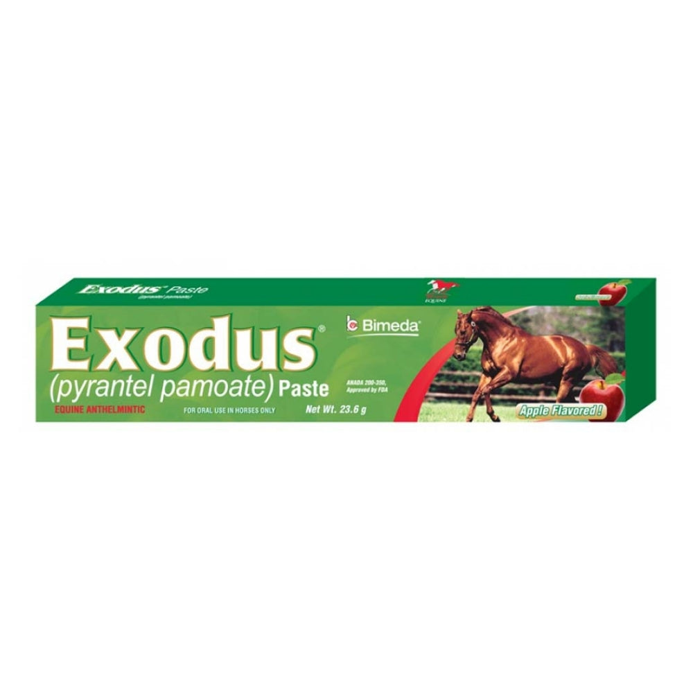 EXODUS PASTE