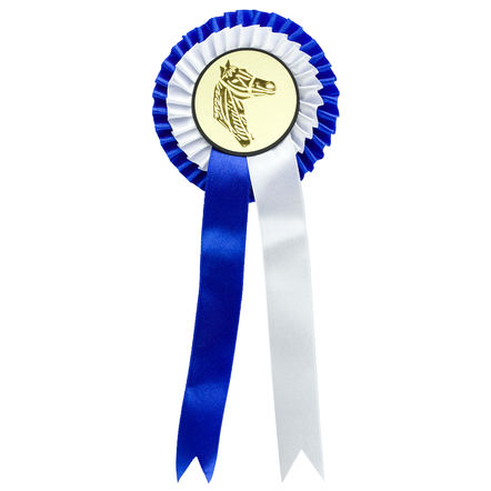 MEDALLA #29035 PARA CONCURSO AZUL/BLANCO