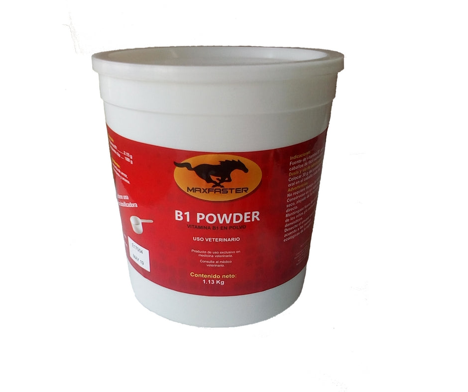 B1 POWDER 2.5 lbs MAXFASTER