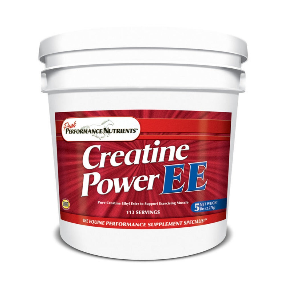 CREATINE POWER EE 5 LBS