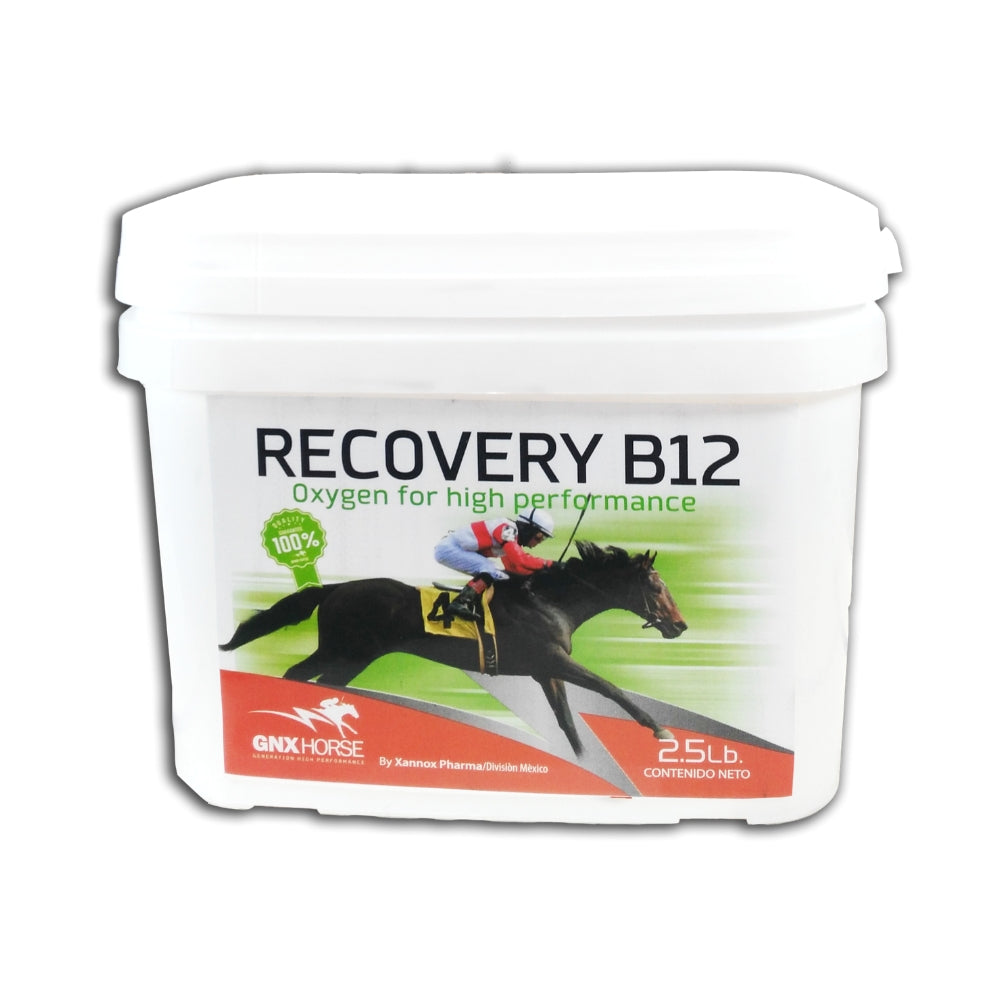 RECOVERY B12 2.5 LBS