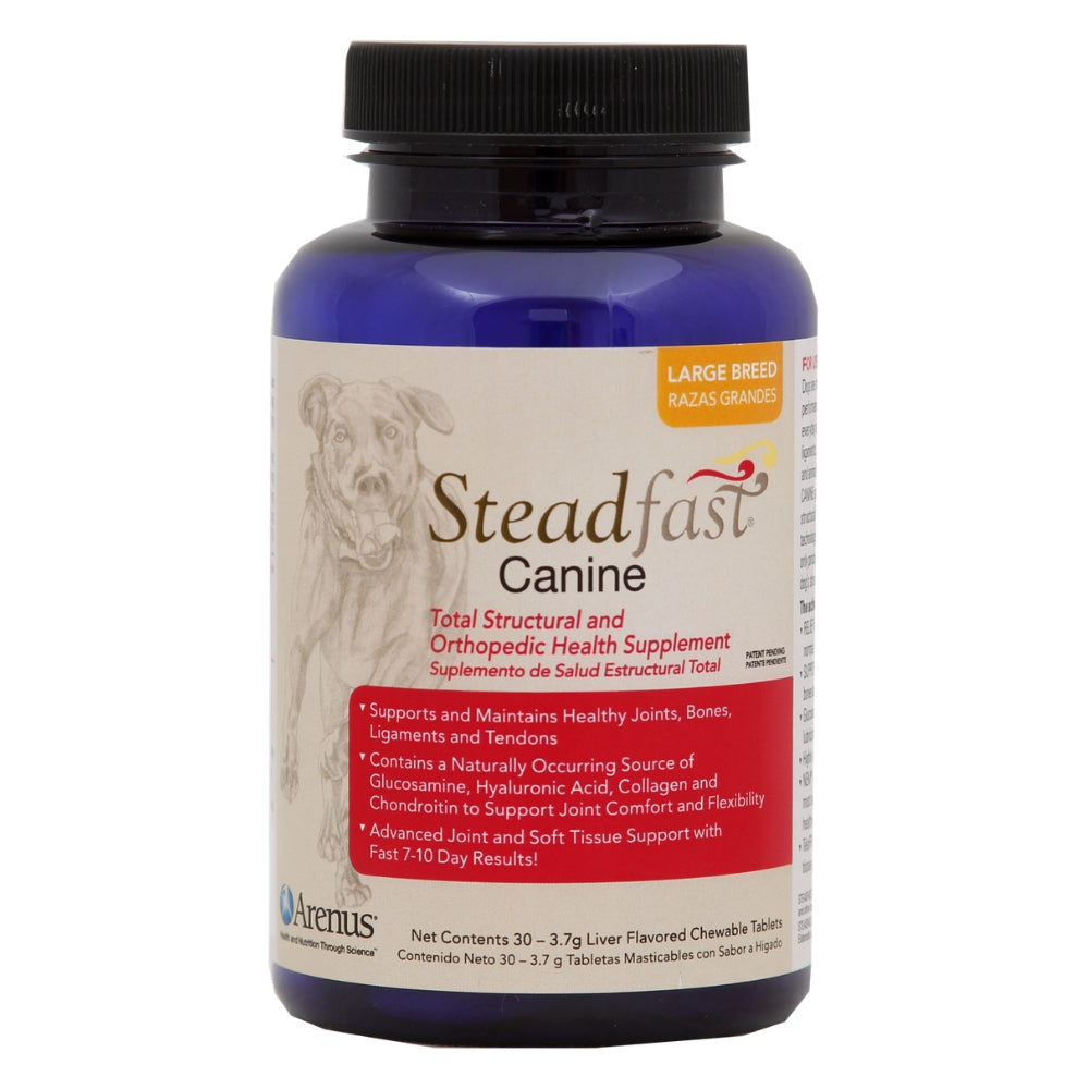 STEADFAST CANINE LARGE 90