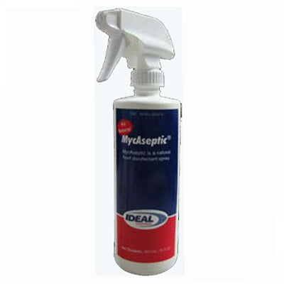MYCASEPTIC E 460 ml #79104