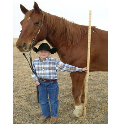 REGLA P/MEDIR CABALLOS SUPER HORSE MEAS RULE