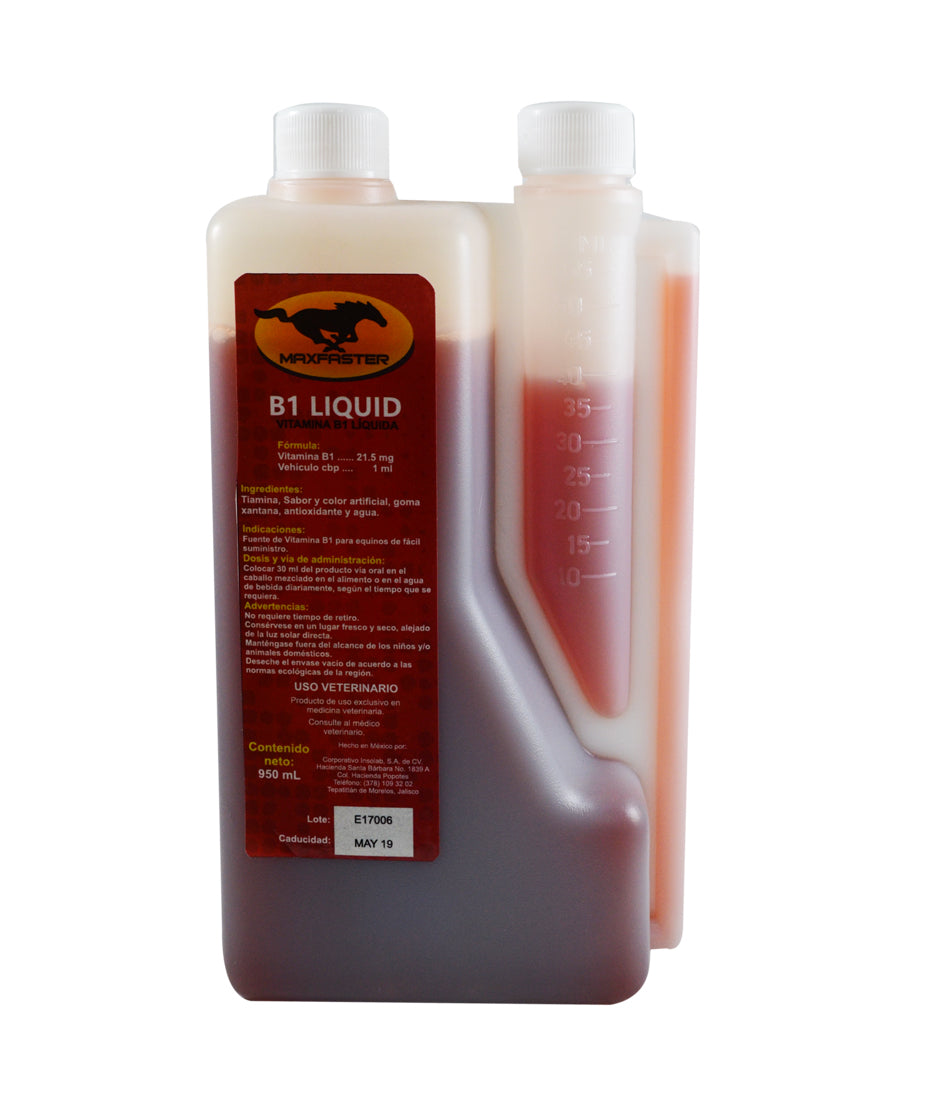 B1 LIQUIDO 950ml MAXFASTER