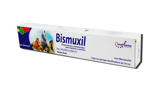BISMUXIL PASTA 30 ML