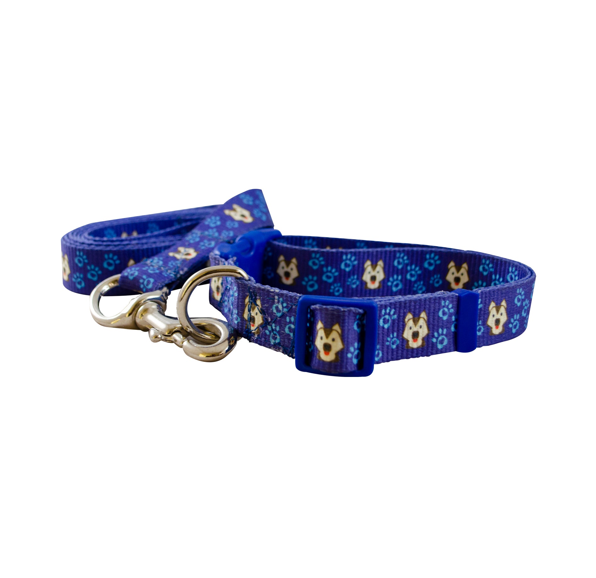 COLLAR CON CORREA #702 PARA PERRO CH 5/8" GRAFICOS