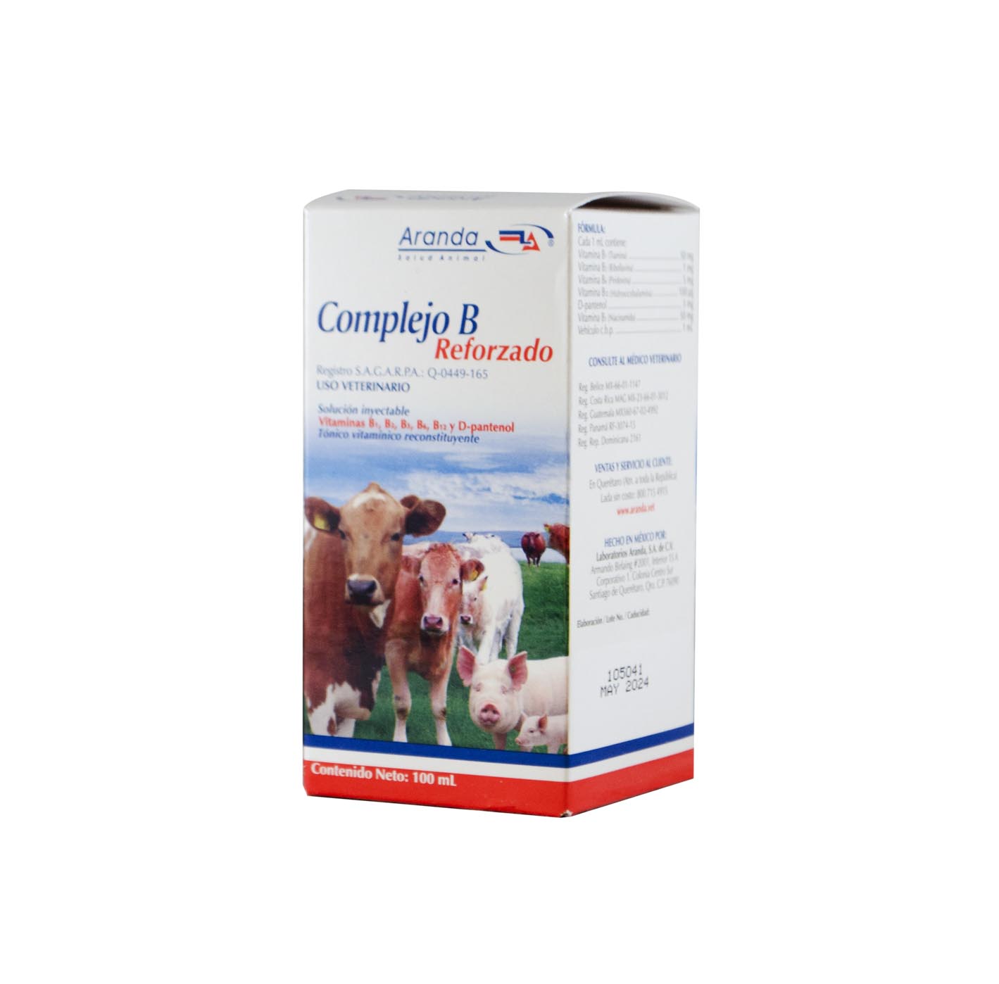 COMPLEJO B REFORZADO 100 ML ARANDA