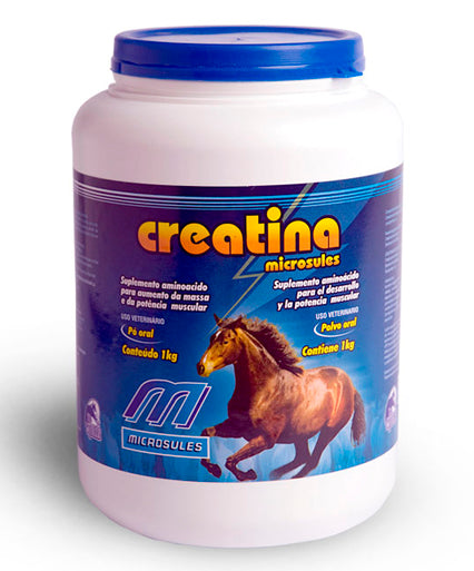 CREATINA 1 KG MICROSULES
