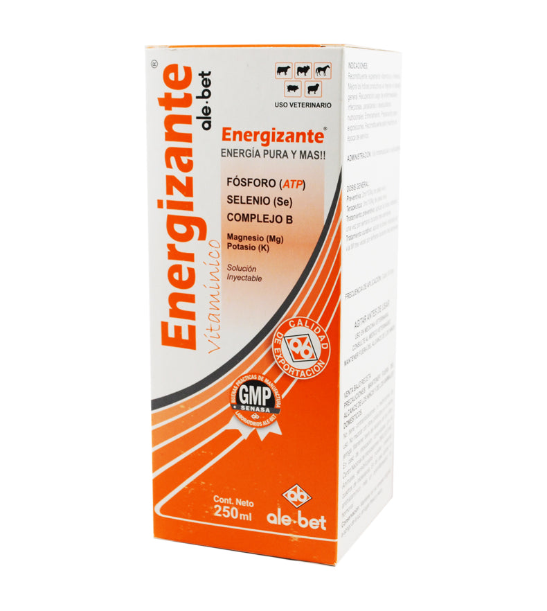 ENERGIZANTE 250 ML
