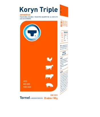 KORYN TRIPLE 100 GR