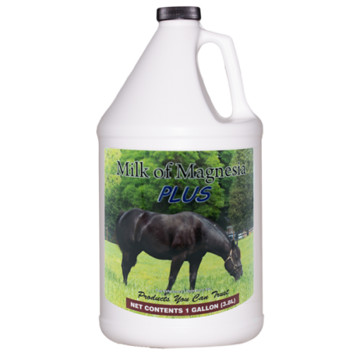 LECHE DE MAGNESIA PLUS GL