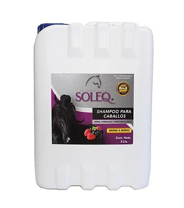 SHAMPOO SOLEQ MORAS 5 LT